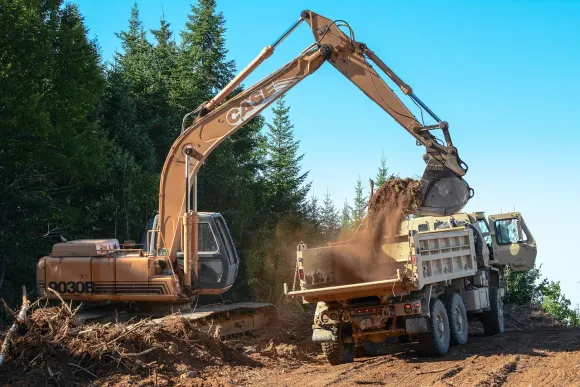 Casino Golden Crown Tugi